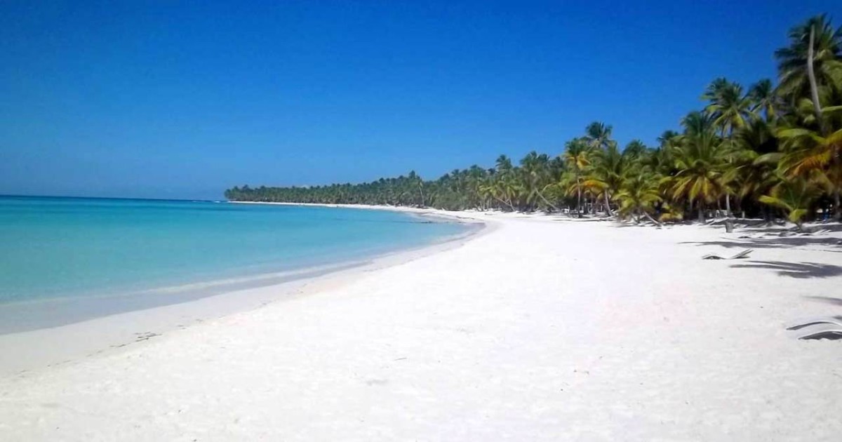 Bayahibe: İsteğe Bağlı Istakoz Öğle Yemeği ile Saona Adası Günü Gezisi